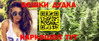 прущие грибы Северобайкальск