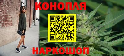 прущие грибы Северобайкальск