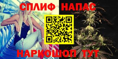 прущие грибы Северобайкальск